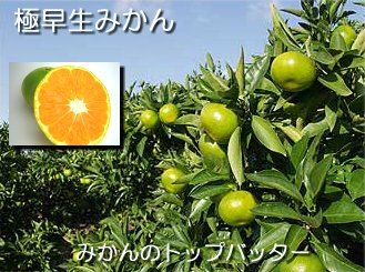 ɑ݂ 5L(ʁ`)