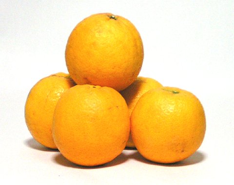 バレンシアオレンジ　Ｌサイズ（中　玉）１０．０ｋｇ